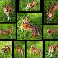 Remka - Ksenia Remneva - Deer