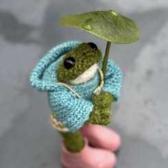 Crochetfrog Hoodie by Claire Garland 棒针衣服