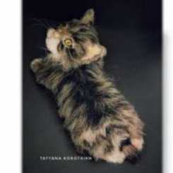 66 TatyanaKo -  Tatiana Korotkikh -Tabby Cat