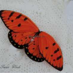 【昆虫】 Tiana Vladi  - Butterfly Wings 红色蝴蝶 俄文