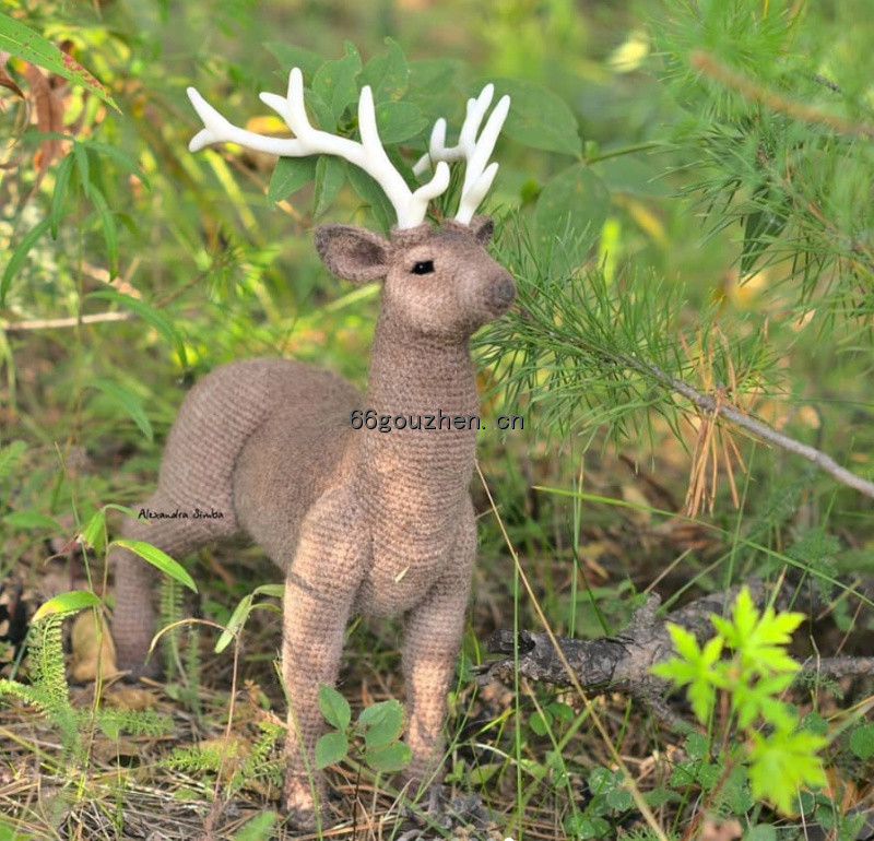 WX20210404-161807@2x.png