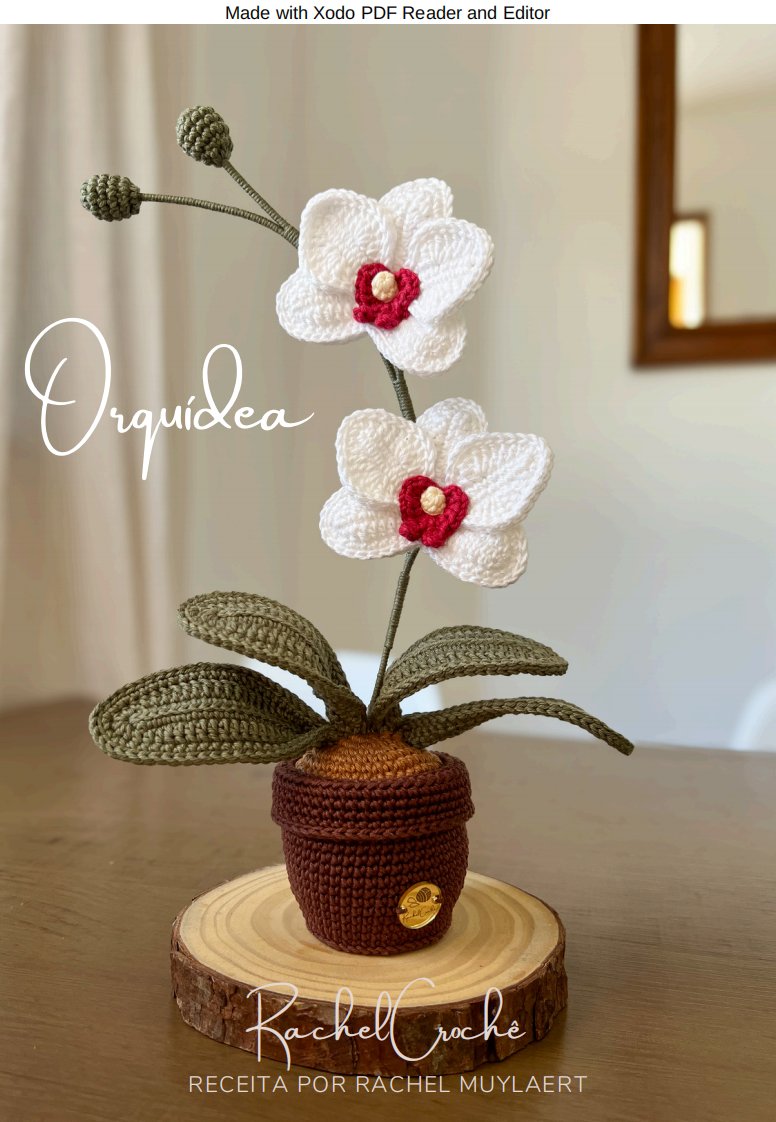 Rachel Crochê - Rachel Muylaert - Orchid - Orquidea - Portuguese
