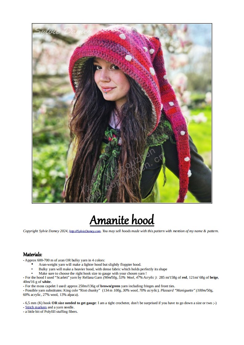 Sylvie Damey Crochet - Sylvie Damey - Amanite Hood
