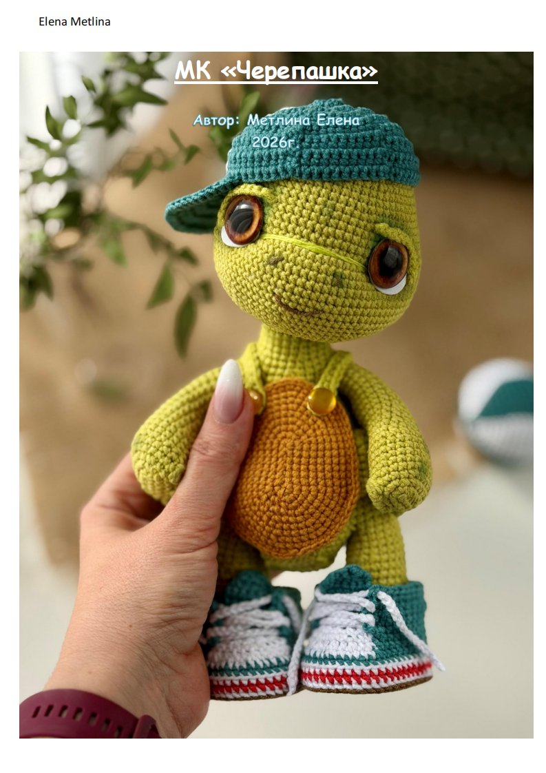 Elena Metlina  - Turtle