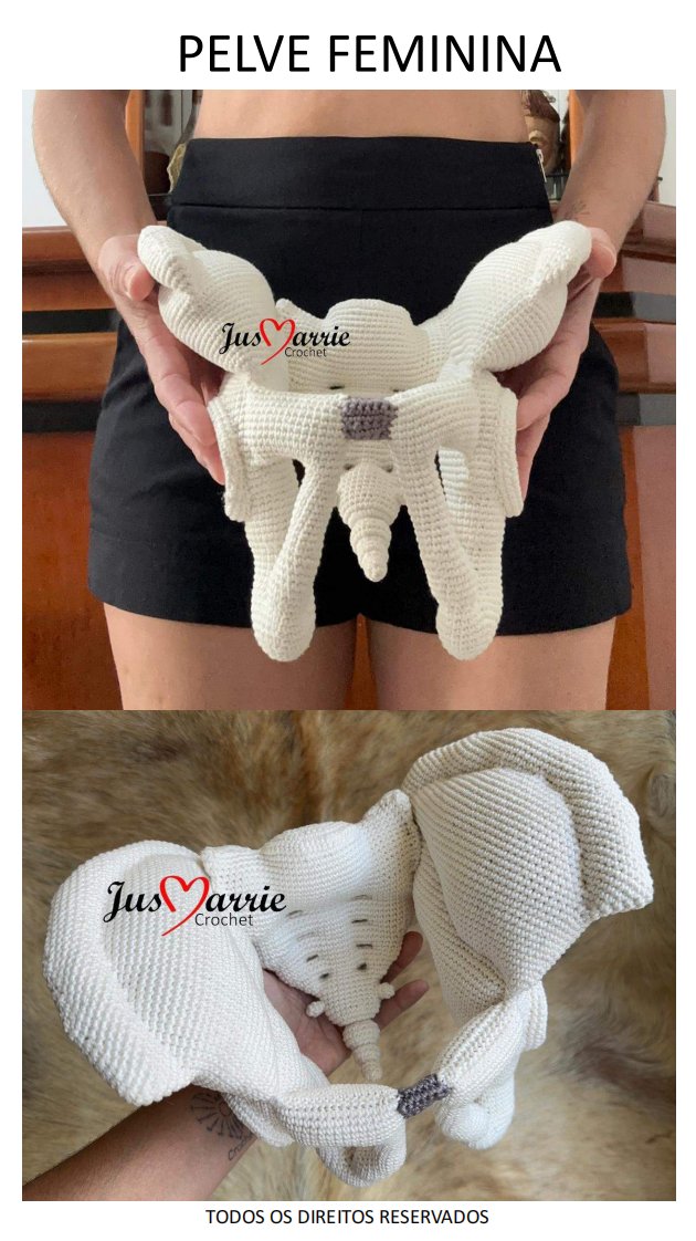 Jus Marrie Crochet - Jusmayre Rosa - Female pelvis - Pelve feminina - Portuguese