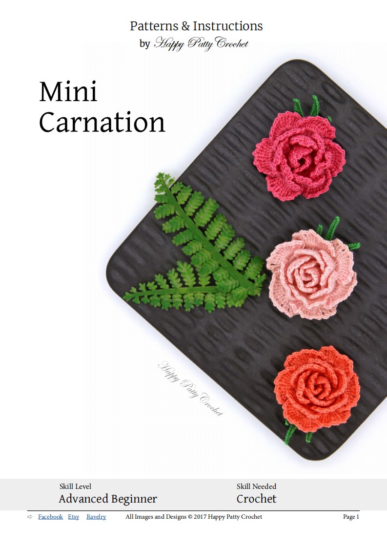 Happy Patty Crochet - Kanyarat Tsabari - Mini Carnation