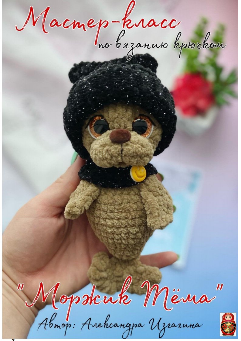 Little Walrus Tyoma - Alexandra Izgagina - Russian