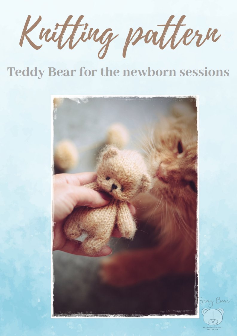 Tiny Teddy Bear by Joanna Tarkowska - GrayBearAkswokrat